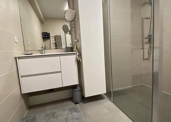 Apartment 4 Etoiles Avec Wifi Et Parking, A Deux Pas De La - Fr-1-696-128 *